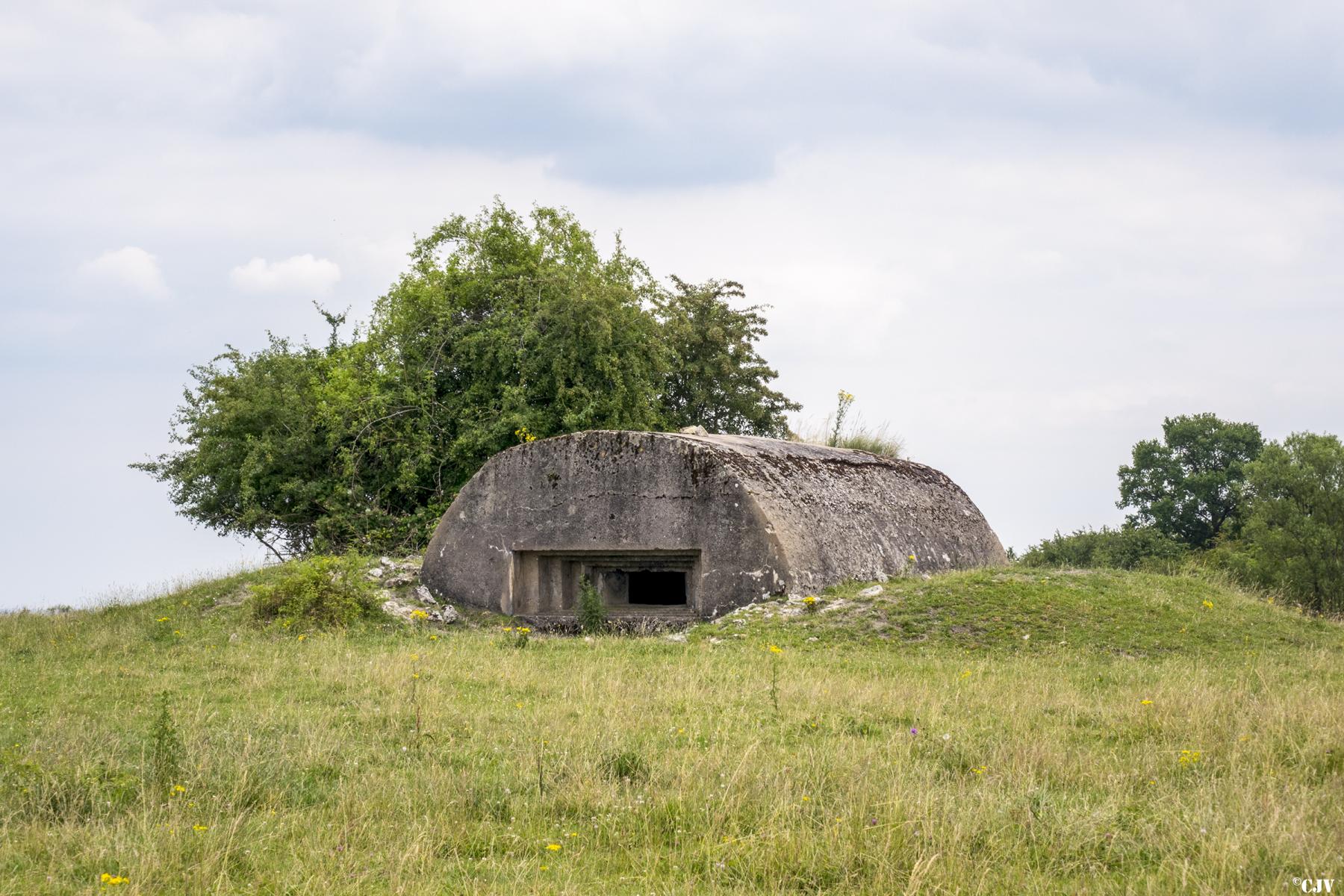 Ligne Maginot - DRIESCHBERG 2 - (Blockhaus pour canon) -                          