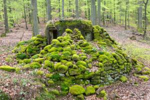 Ligne Maginot - FM39 - DIEBSKOPF 1 - (Blockhaus pour arme infanterie) - 