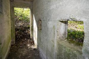 Ligne Maginot - BOIS DE LAUDREFANG NORD 1 - (Blockhaus pour arme infanterie) - Le mur arrière