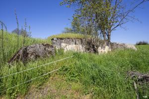 Ligne Maginot - CAMP DE ZIMMING 2 - (Blockhaus pour arme infanterie) - Le blockhaus est partiellement remblayé