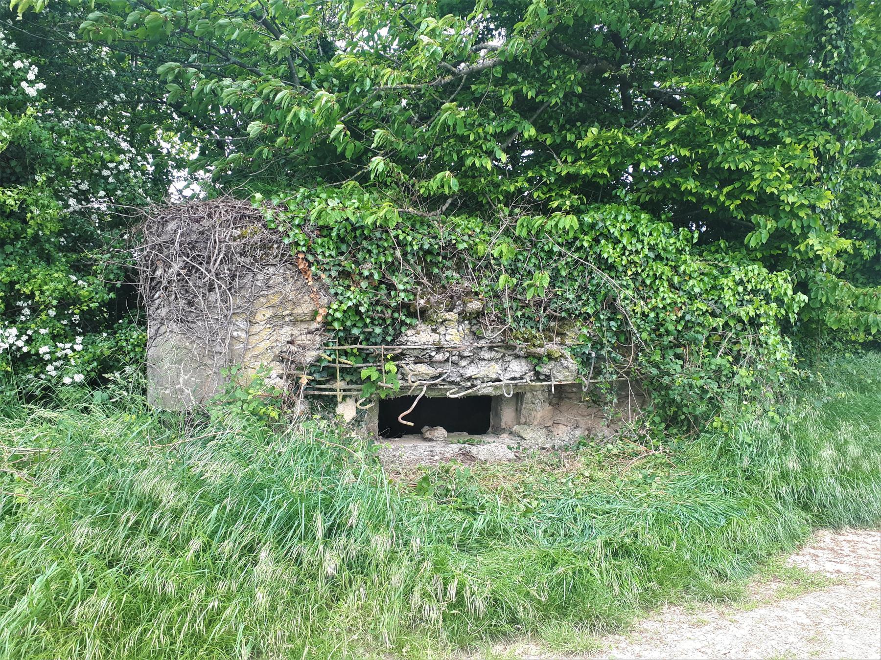 Ligne Maginot - BOIS DE HOFFEN 1 - (Blockhaus pour canon) - Façade et créneau de la pièce antichar