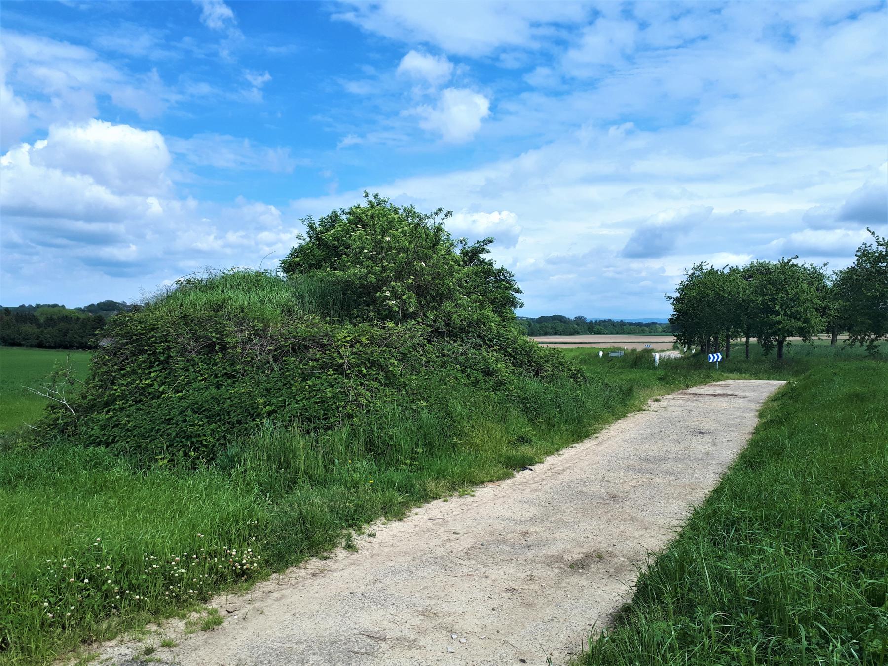 Ligne Maginot - HANG HAAG - (Blockhaus pour arme infanterie) - En contrebas, le virage de la route de Hatten couvert par le blockhaus. Au loin, la lisière ou se trouve la ligne du Seltzbach