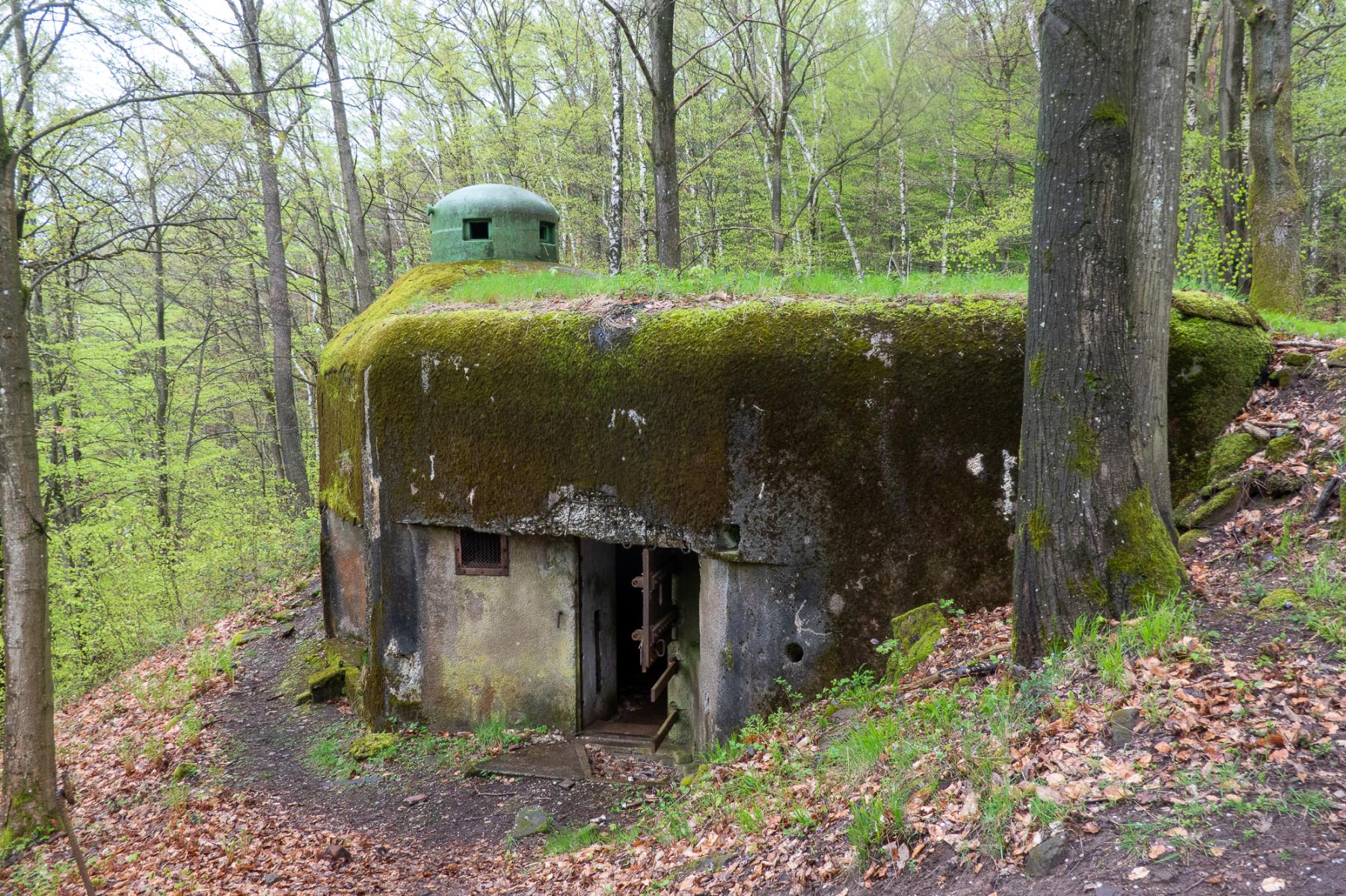 Ligne Maginot - GUNSTHAL COL OUEST - (Blockhaus pour arme infanterie) - Vue globale côté entrée