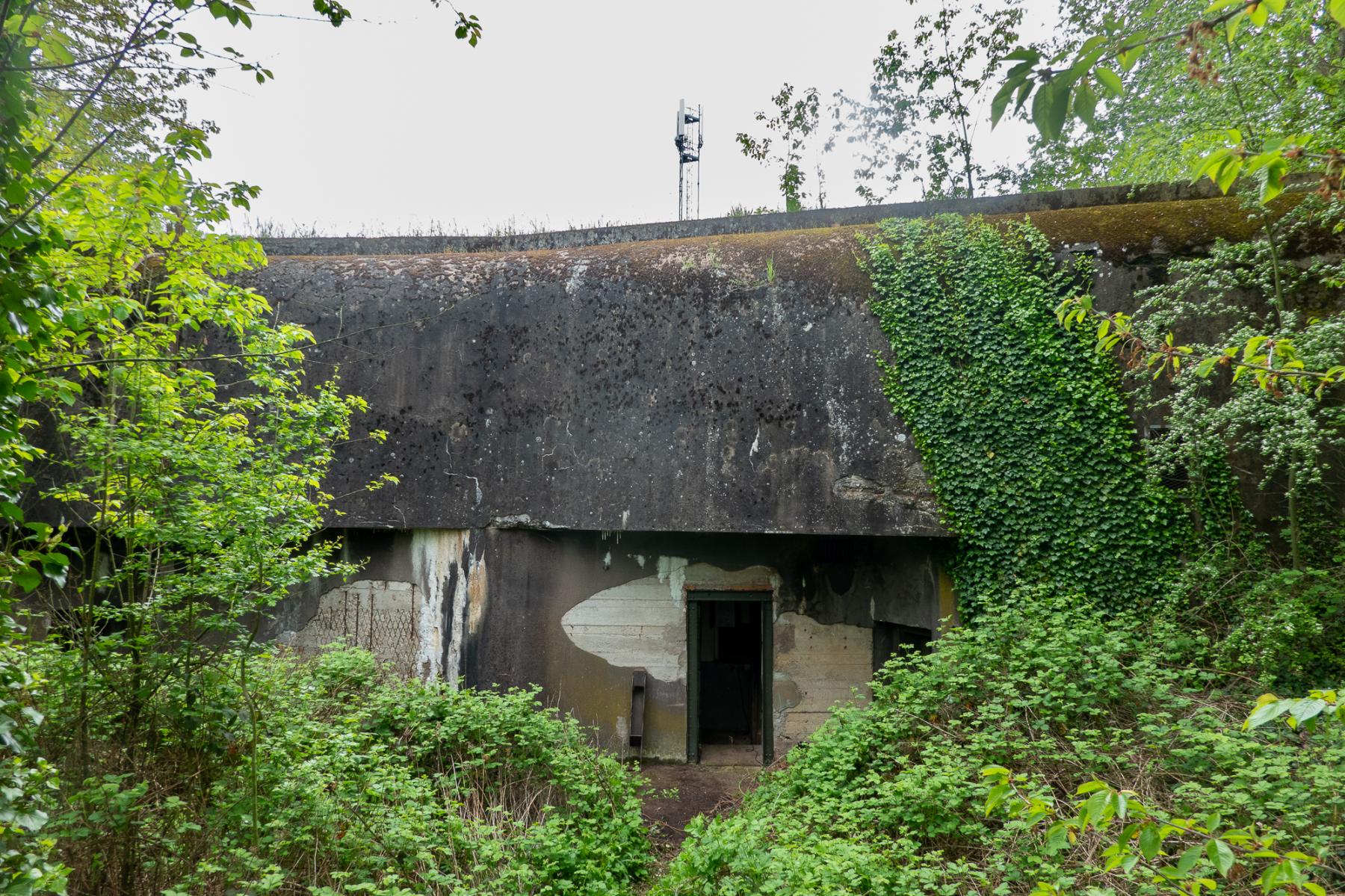 Ligne Maginot - HATTEN - O1 - (Observatoire d'artillerie) - Façade de l'observatoire recouverte par la végétation au printemps 2023