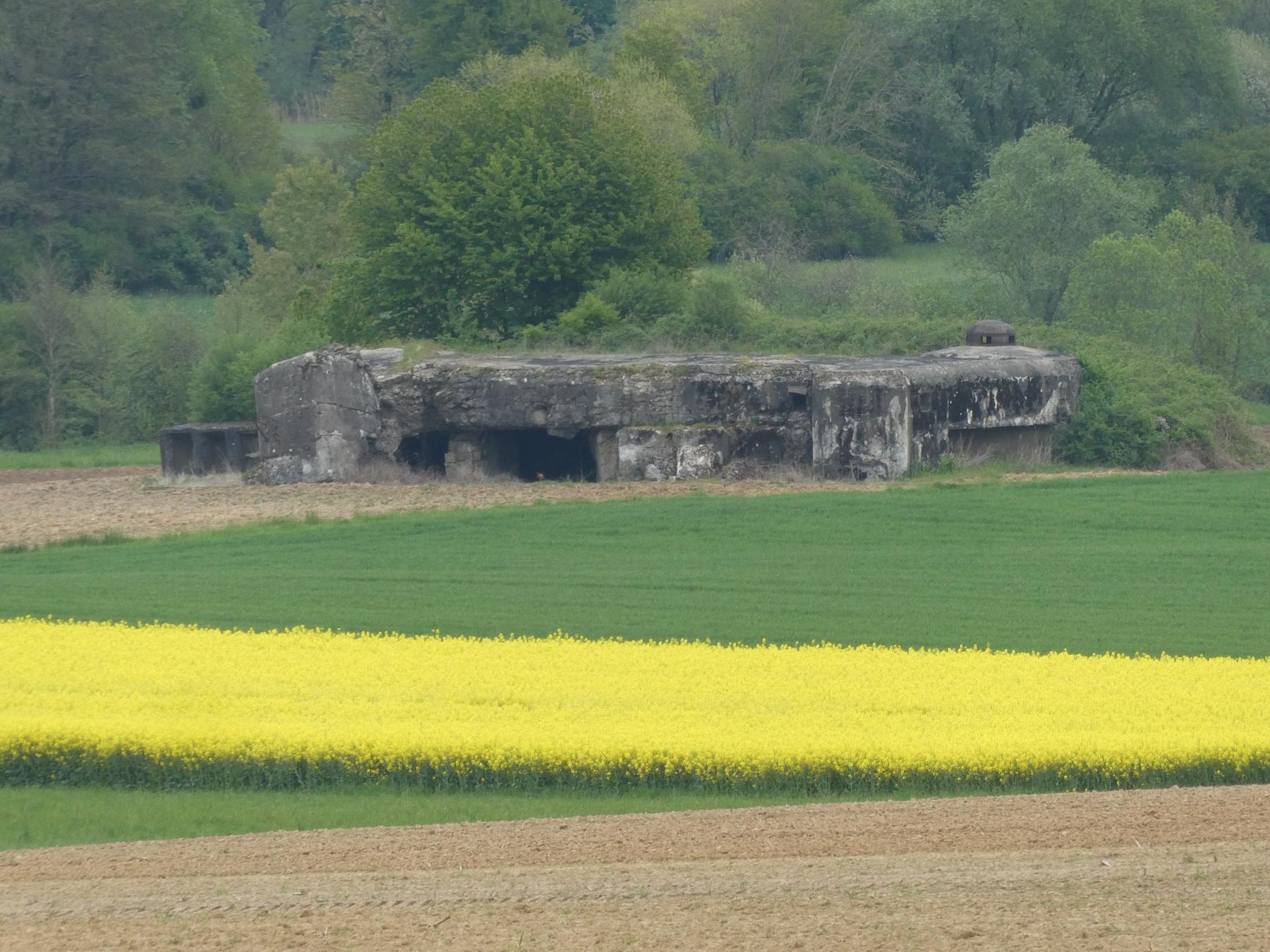 Ligne Maginot - SELTZ - SELTZBACH - (Casemate d'infanterie - Double) - La casemate de la Seltz vue depuis l'observatoire de Hatten