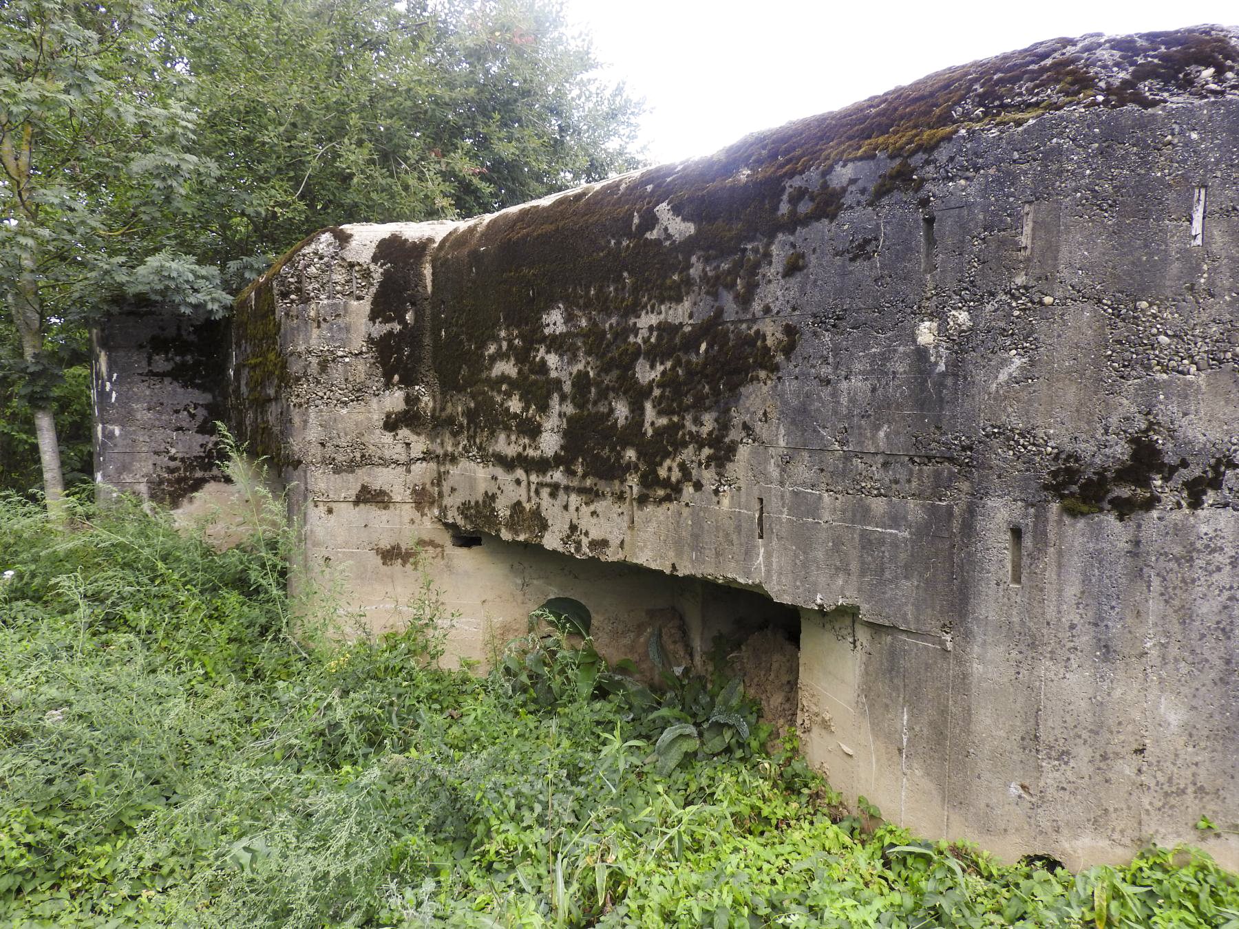Ligne Maginot - PLAN - (Casemate d'infanterie - Simple) - La façade