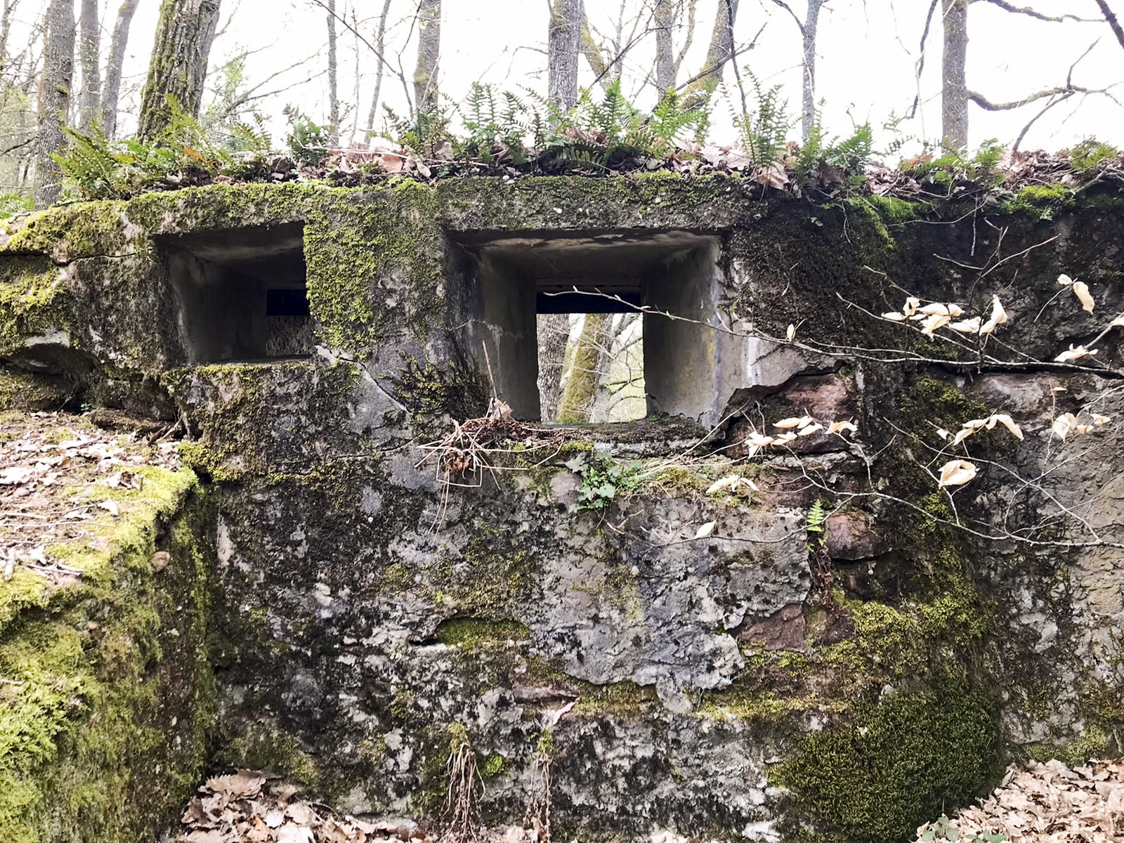 Ligne Maginot - HASPELSCHIEDT 7 (AVANT POSTE) - (Blockhaus pour arme infanterie) - 