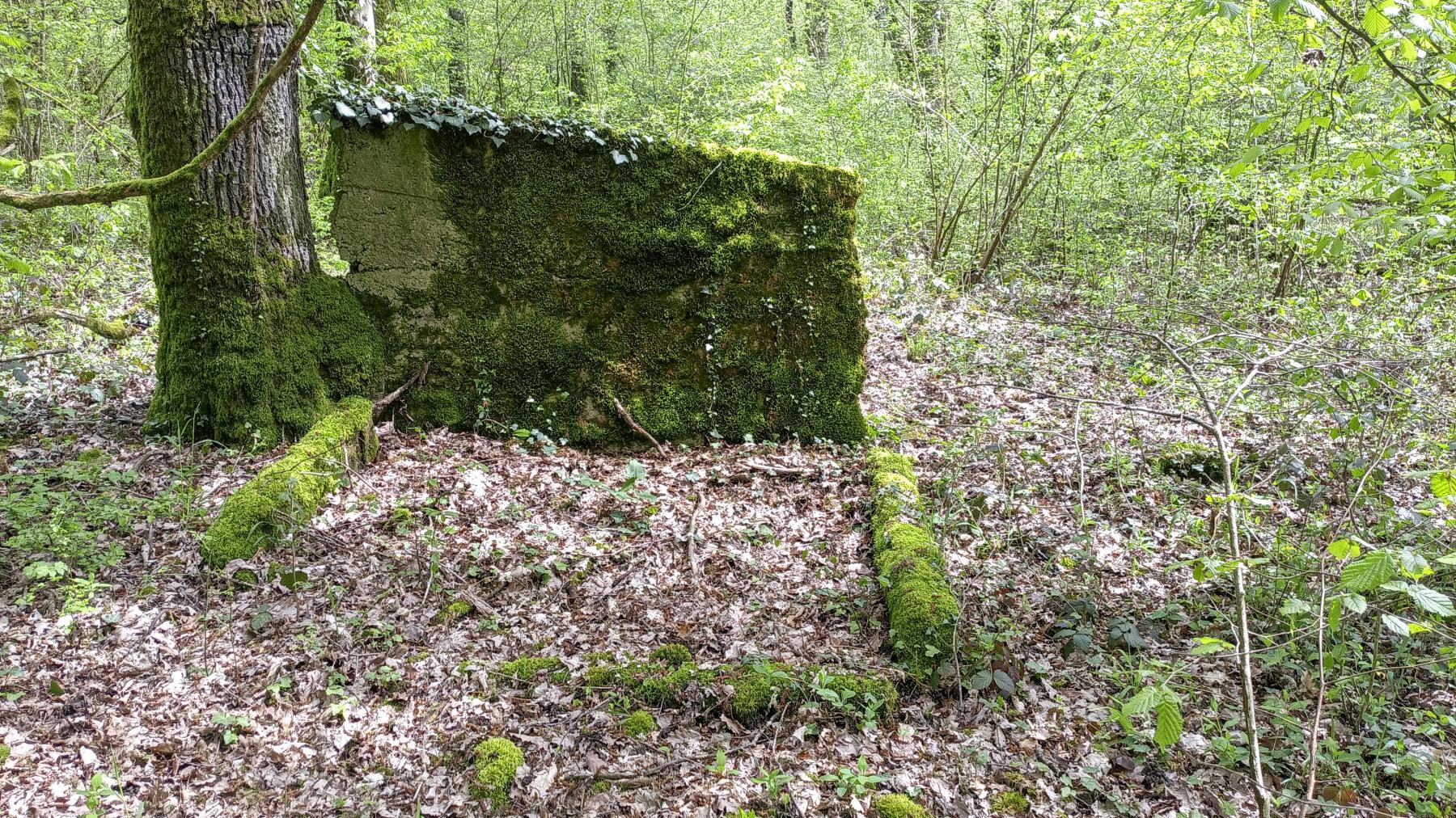 Ligne Maginot - OBERHEIDE - A14 - (Ouvrage d'infanterie) - Un mur, restant de.....