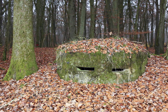 Ligne Maginot - DALEMERBUSCH - 115C (Observatoire d'artillerie) - Le petit poste d'observation.