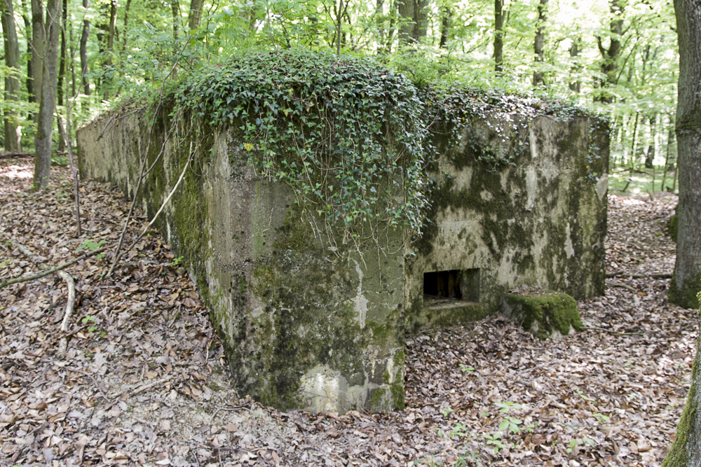 Ligne Maginot - OBERHEIDE - 114C (Blockhaus pour arme infanterie) - 