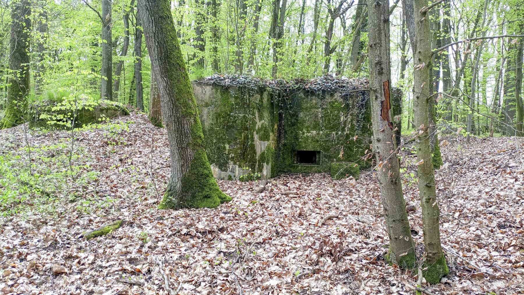 Ligne Maginot - OBERHEIDE - 114C - (Blockhaus pour arme infanterie) - Les deux blockhaus