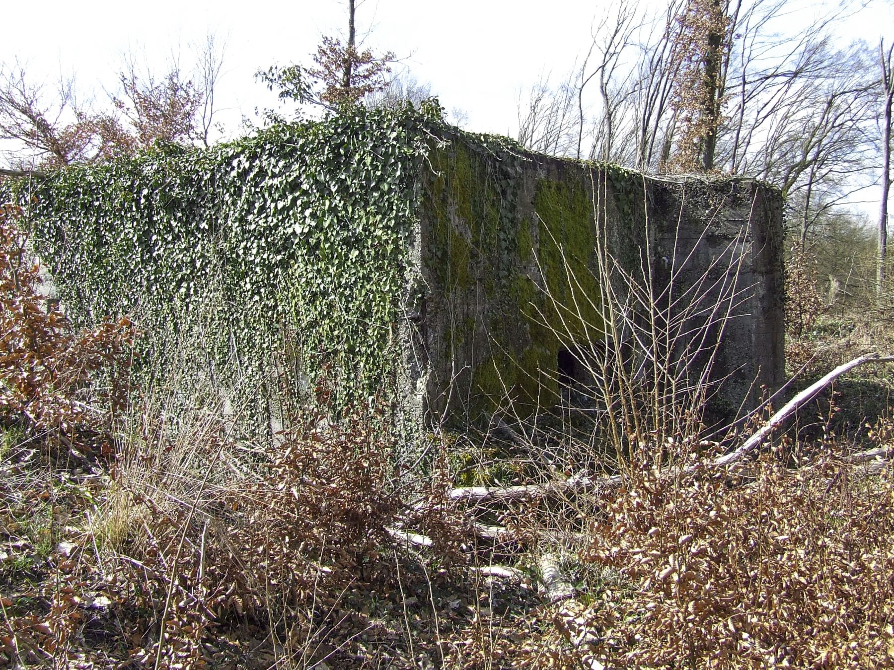 Ligne Maginot - BB349 - (Blockhaus pour arme infanterie) - La façade de tir du blockhaus anti-char.