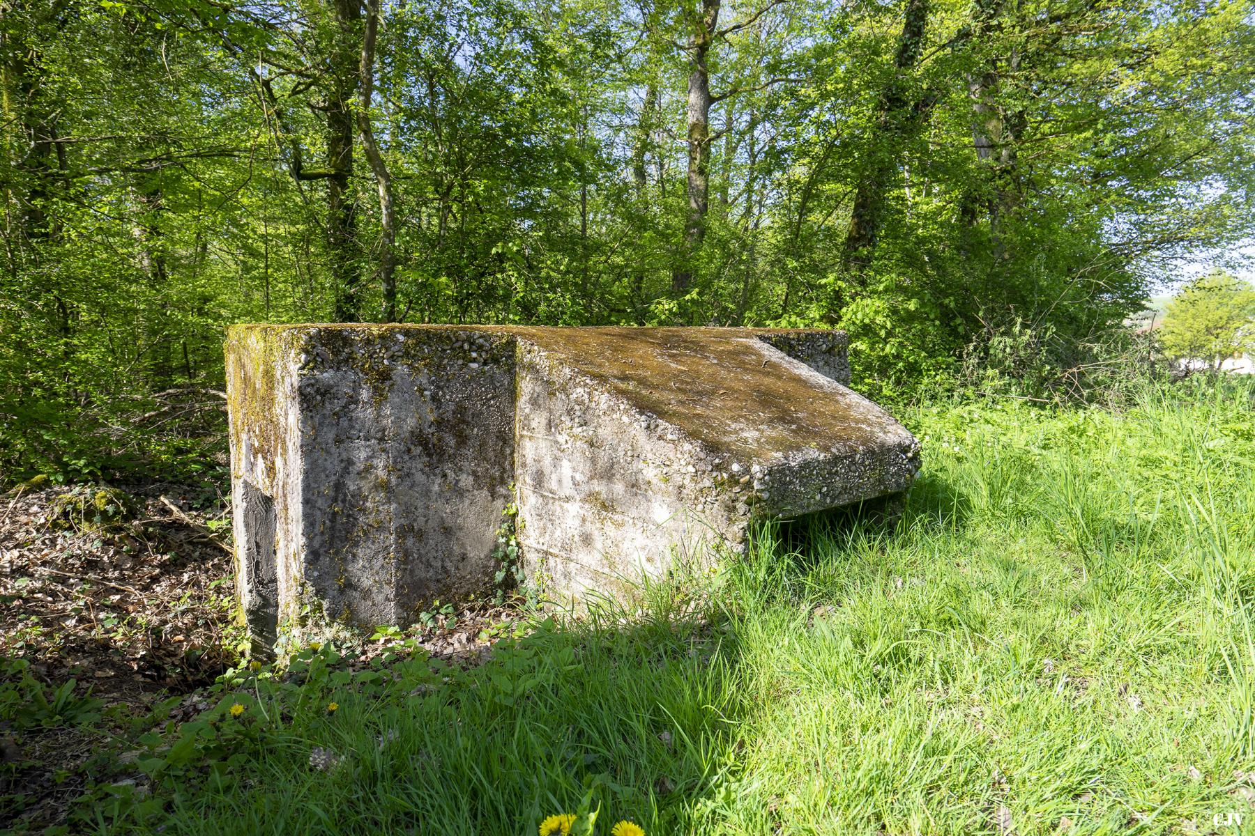 Ligne Maginot - BOIS DE LAUDREFANG NORD 2 - (Blockhaus pour arme infanterie) - 