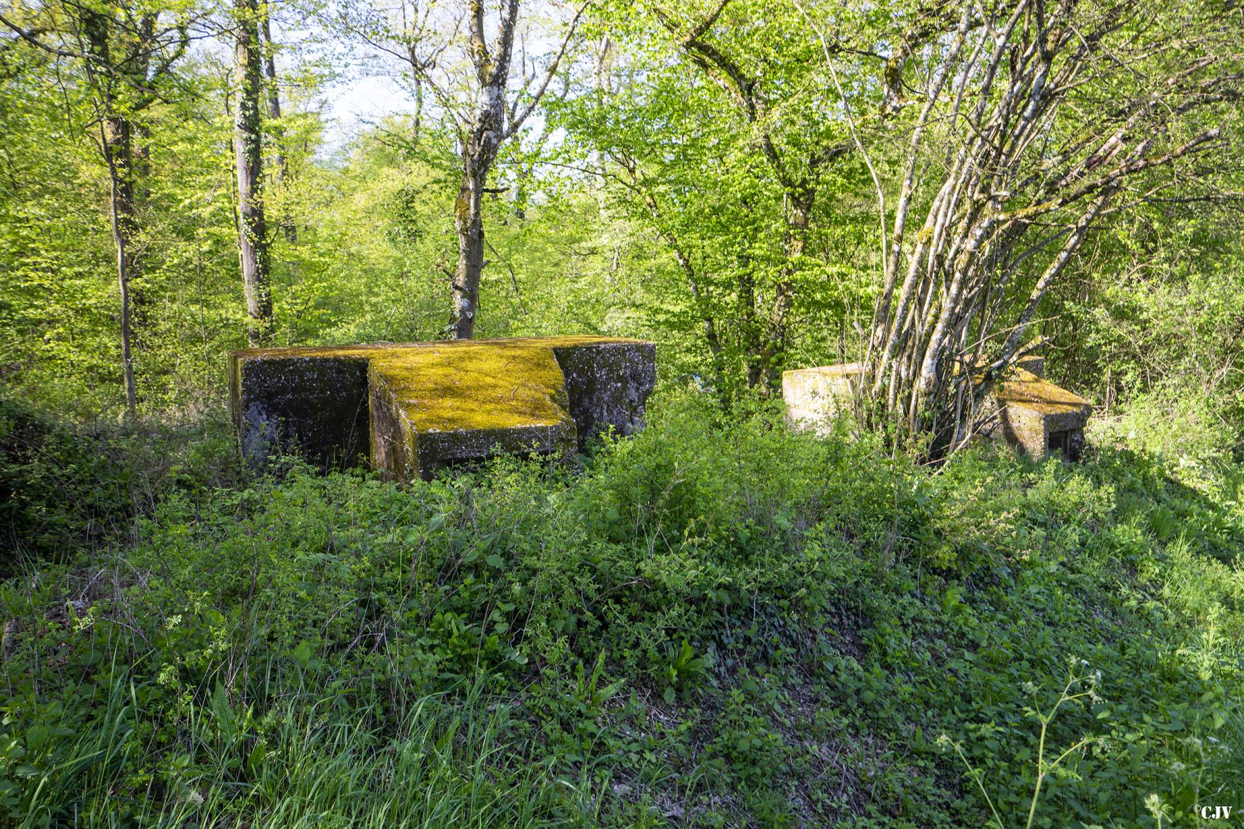Ligne Maginot - BOIS DE LAUDREFANG NORD 3 - (Blockhaus pour arme infanterie) - Les deux blockhaus du Bois de Laudrefang Nord 3 et 4