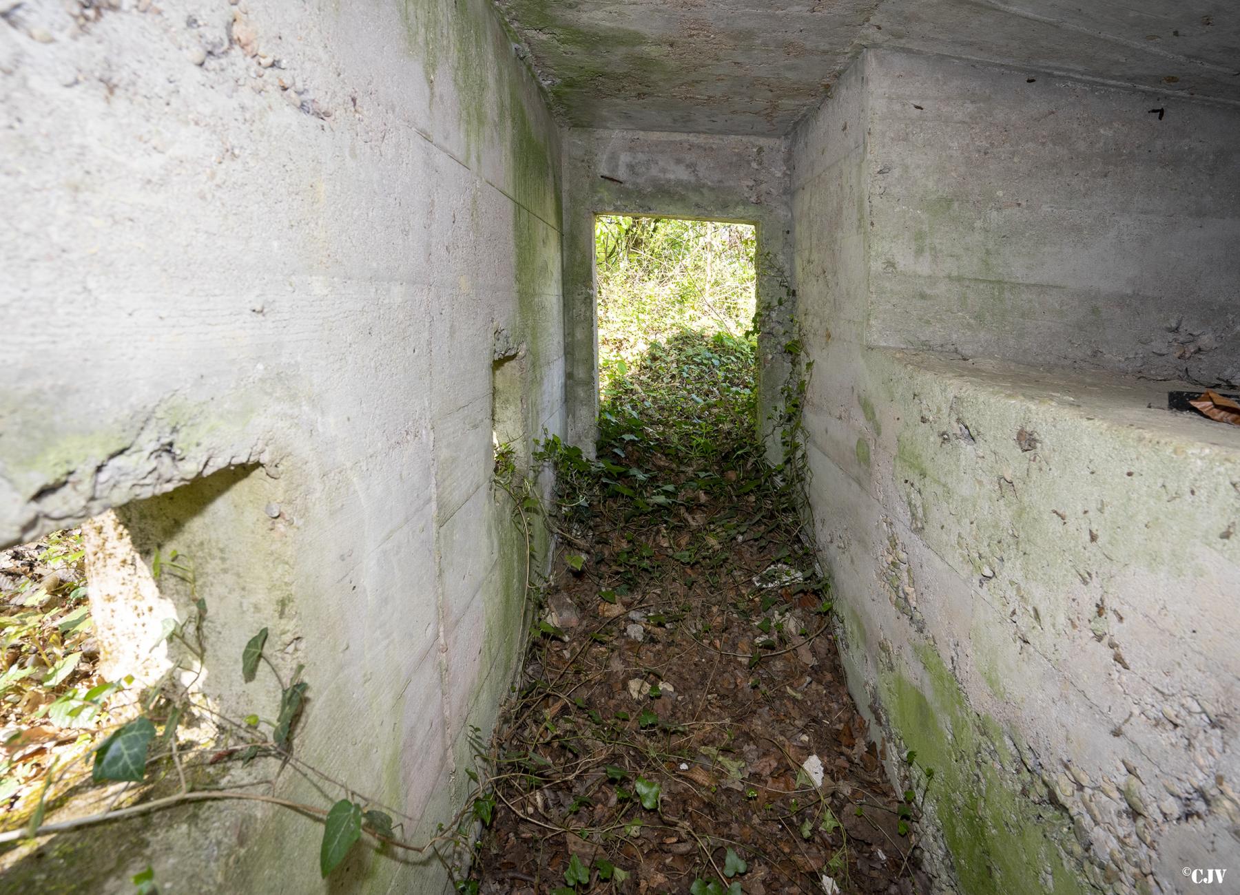 Ligne Maginot - BOIS DE LAUDREFANG NORD 4 - (Blockhaus pour arme infanterie) - 