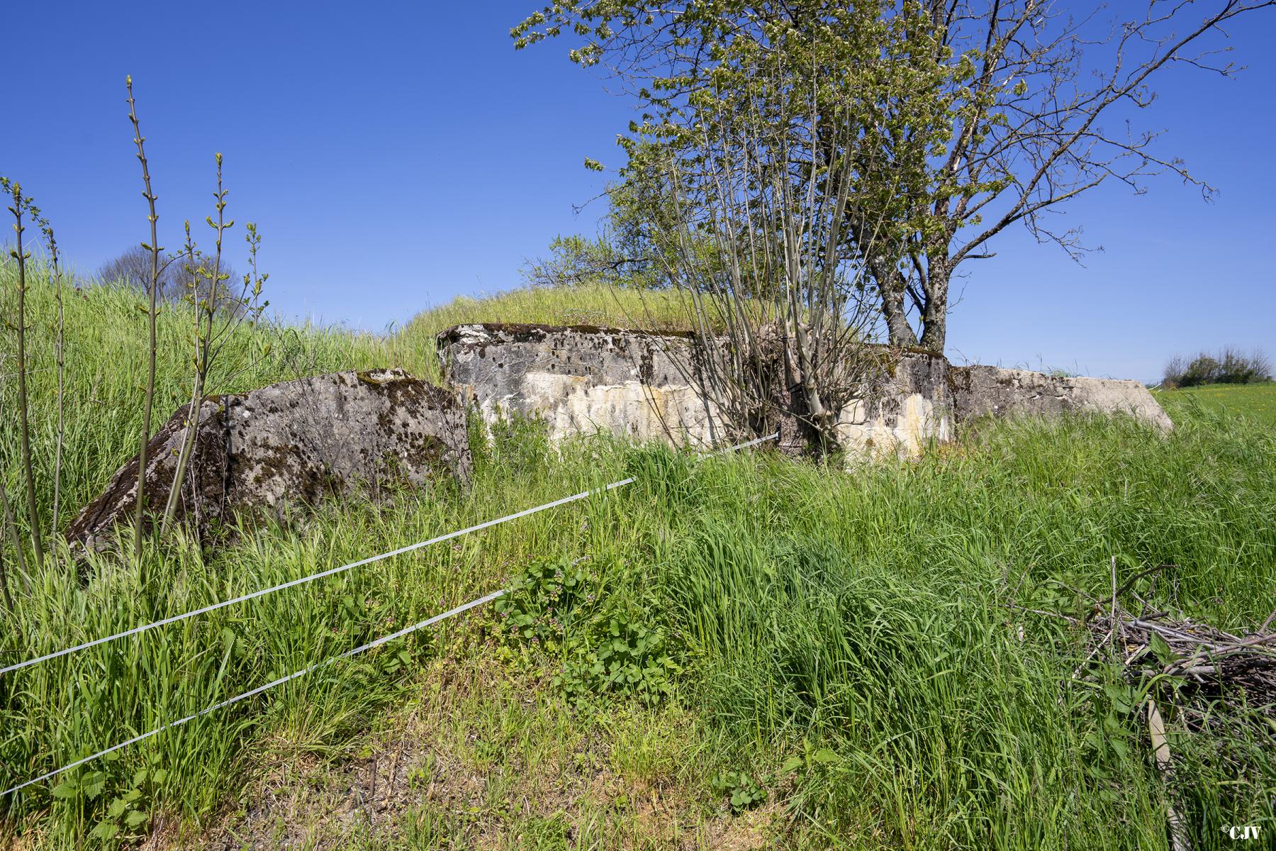 Ligne Maginot - CAMP DE ZIMMING 2 - (Blockhaus pour arme infanterie) - Le blockhaus est partiellement remblayé