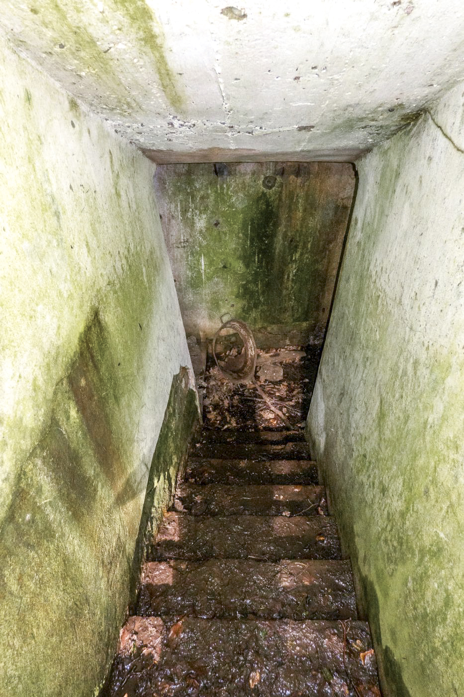 Ligne Maginot - MEMMELSHOFFEN (22° RIF) - (PC de Sous-Secteur) - Descente vers la tranchée couverte