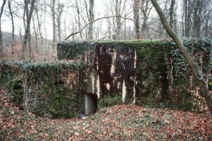 Ligne Maginot - BOIS DE TETING NORD - (Blockhaus pour canon) - L'entrée du personnel
