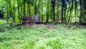 Ligne Maginot - MONT DES WELCHES - (Casernement) - Les restes du lavabo