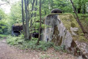 Ligne Maginot - BOIS D