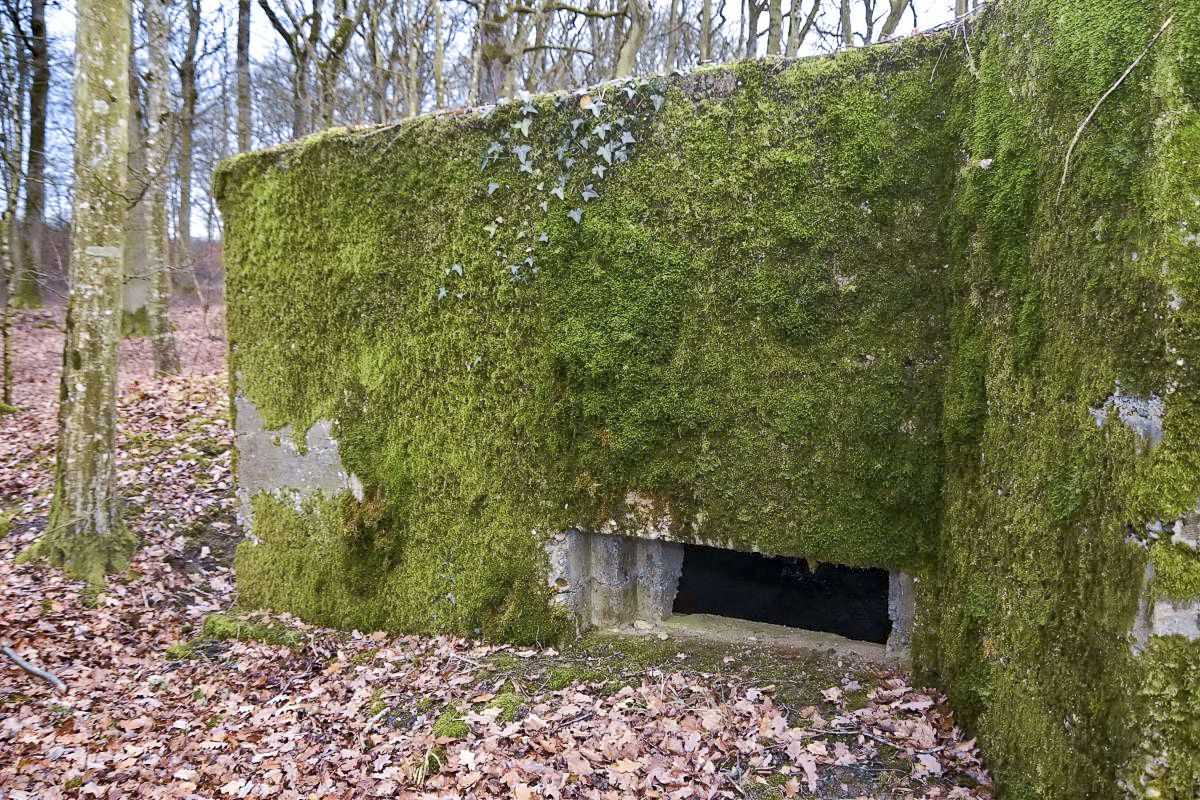 Ligne Maginot - CB286 - BOIS DE CATTENOM 04 - (Blockhaus pour canon) - Vue extérieure sur le créneau de tir