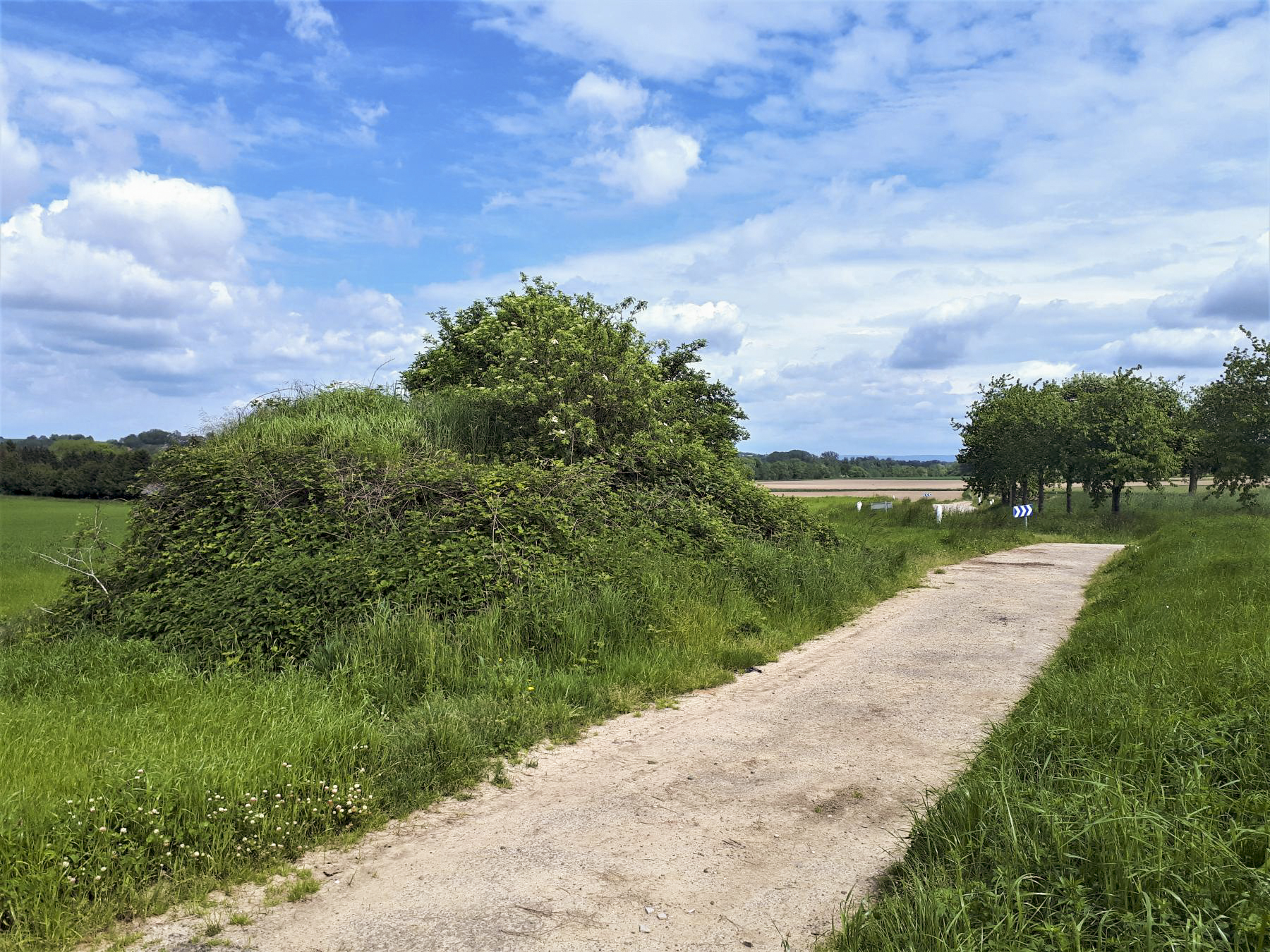 Ligne Maginot - HANG HAAG - (Blockhaus pour arme infanterie) - En contrebas, le virage de la route de Hatten couvert par le blockhaus. Au loin, la lisière ou se trouve la ligne du Seltzbach