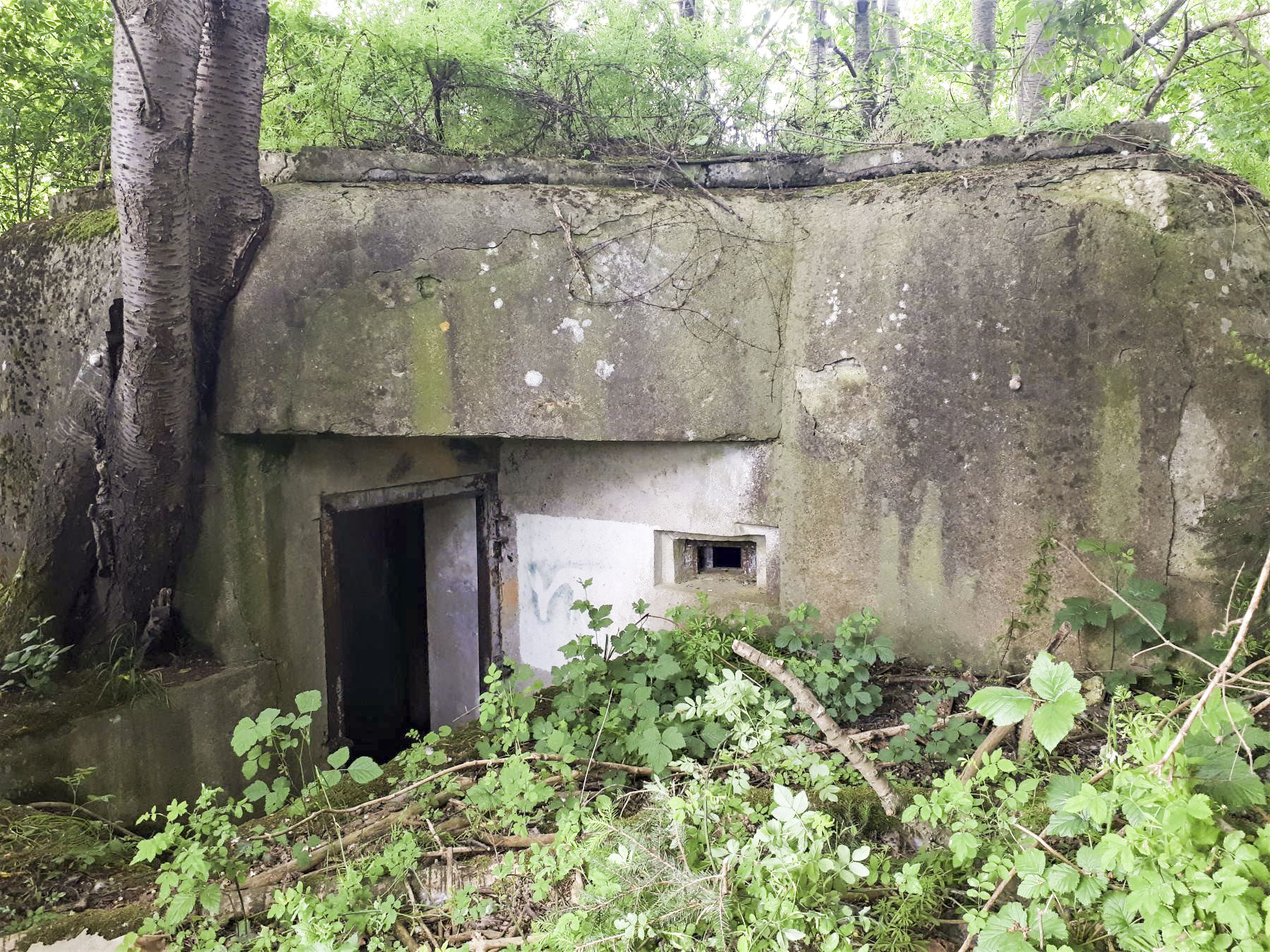 Ligne Maginot - GROSSMATTEN - (Blockhaus pour arme infanterie) - L'entrée en chicane. Un troisième créneau de fusillade en assure la défense rapprochée