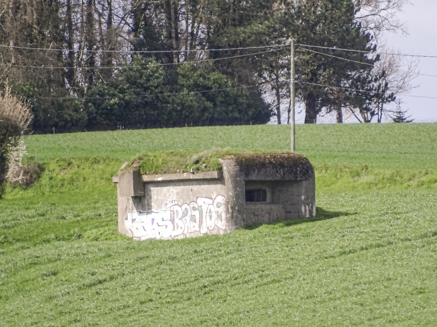 Ligne Maginot - B169 - MONT KOKEREEL - (Blockhaus pour canon) - 