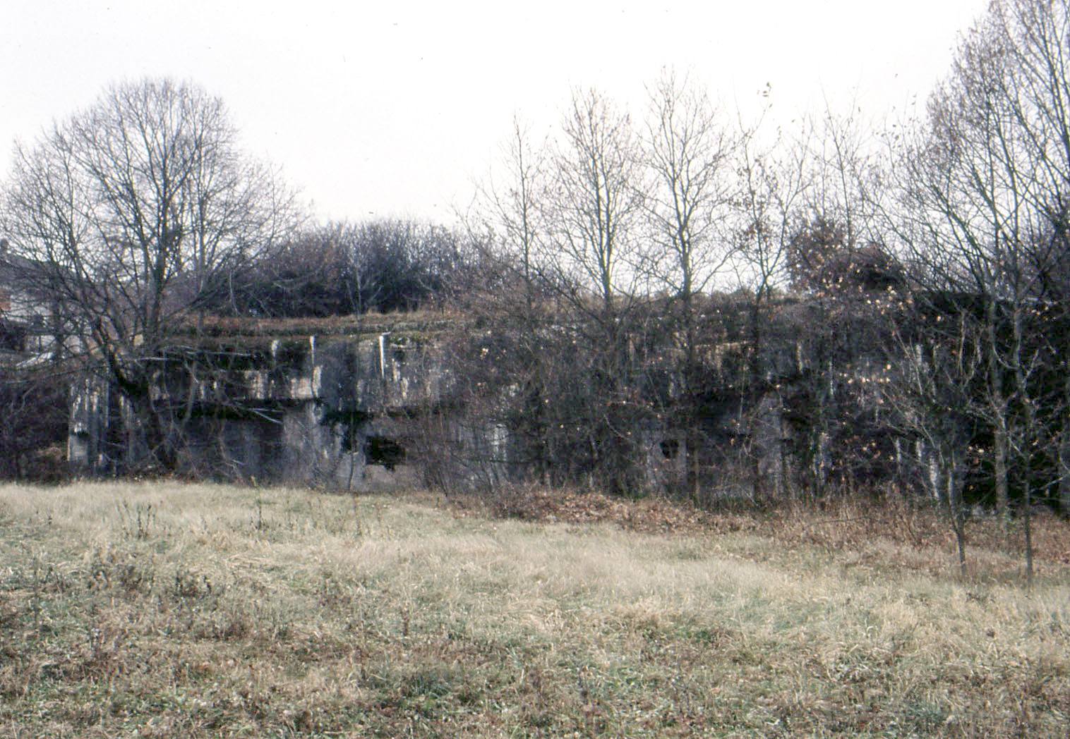 Ligne Maginot - ACA1 - TETING - (Casemate d'artillerie) - 
