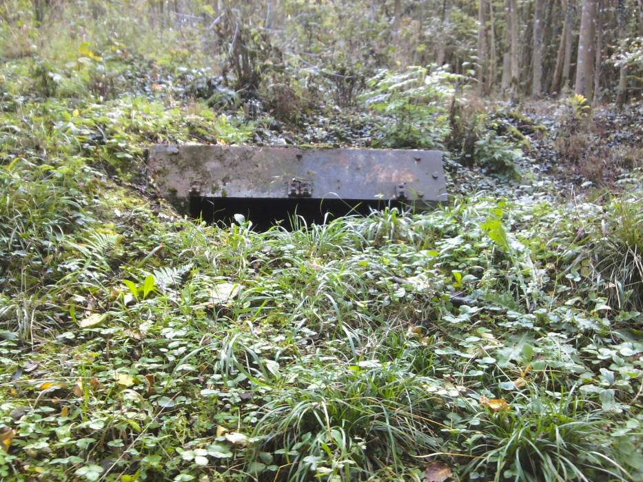 Ligne Maginot - CB3-A - (Observatoire d'artillerie) - Observatoire d'artillerie
L'une des guérites vue de face