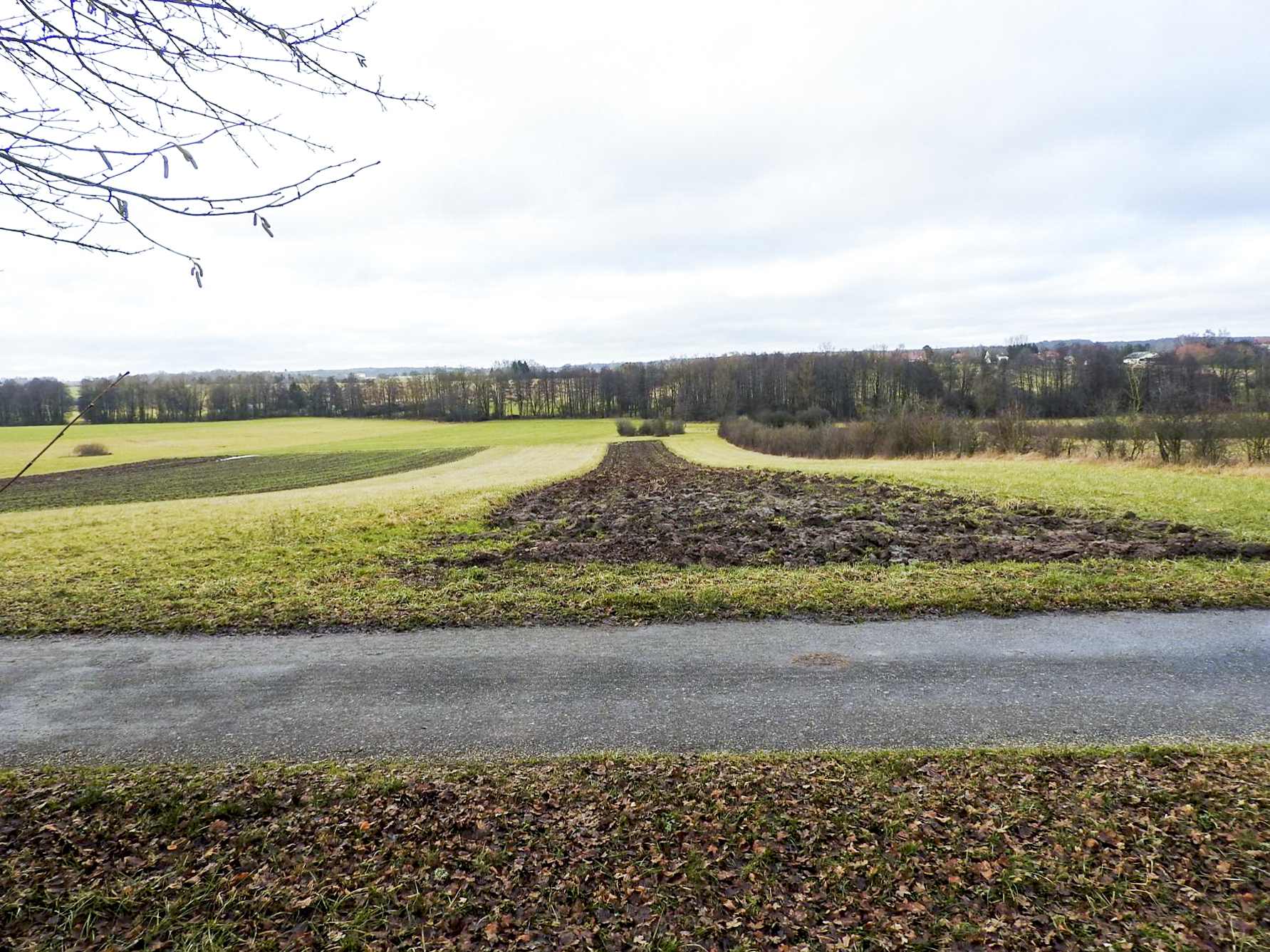Ligne Maginot - HINTER FOLIG - (Observatoire d'infanterie) - La vue depuis l'observatoire.