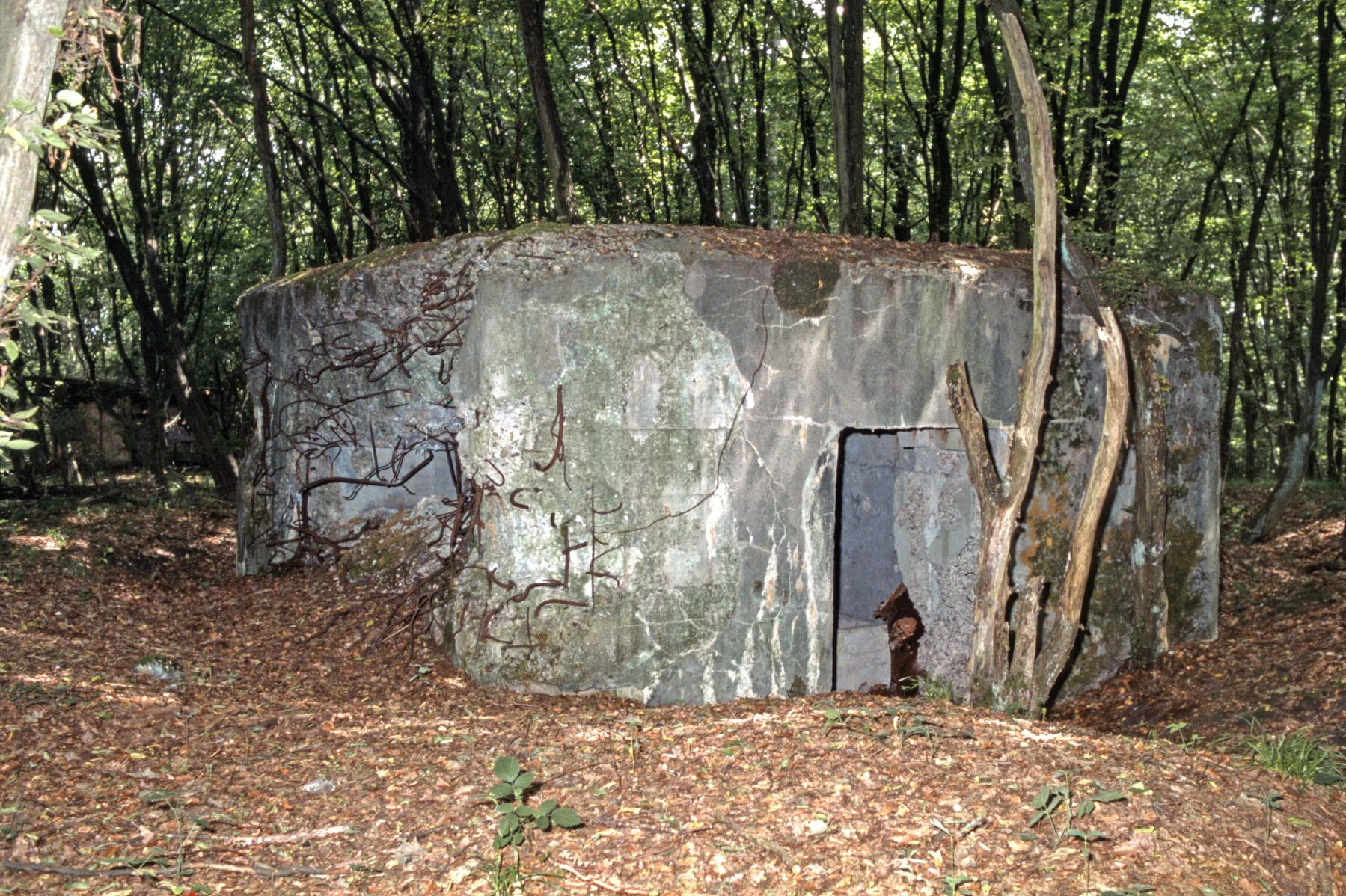 Ligne Maginot - LANGSTWALD 5 - (Blockhaus pour canon) - Les dégâts du mur latéral du blockhaus 