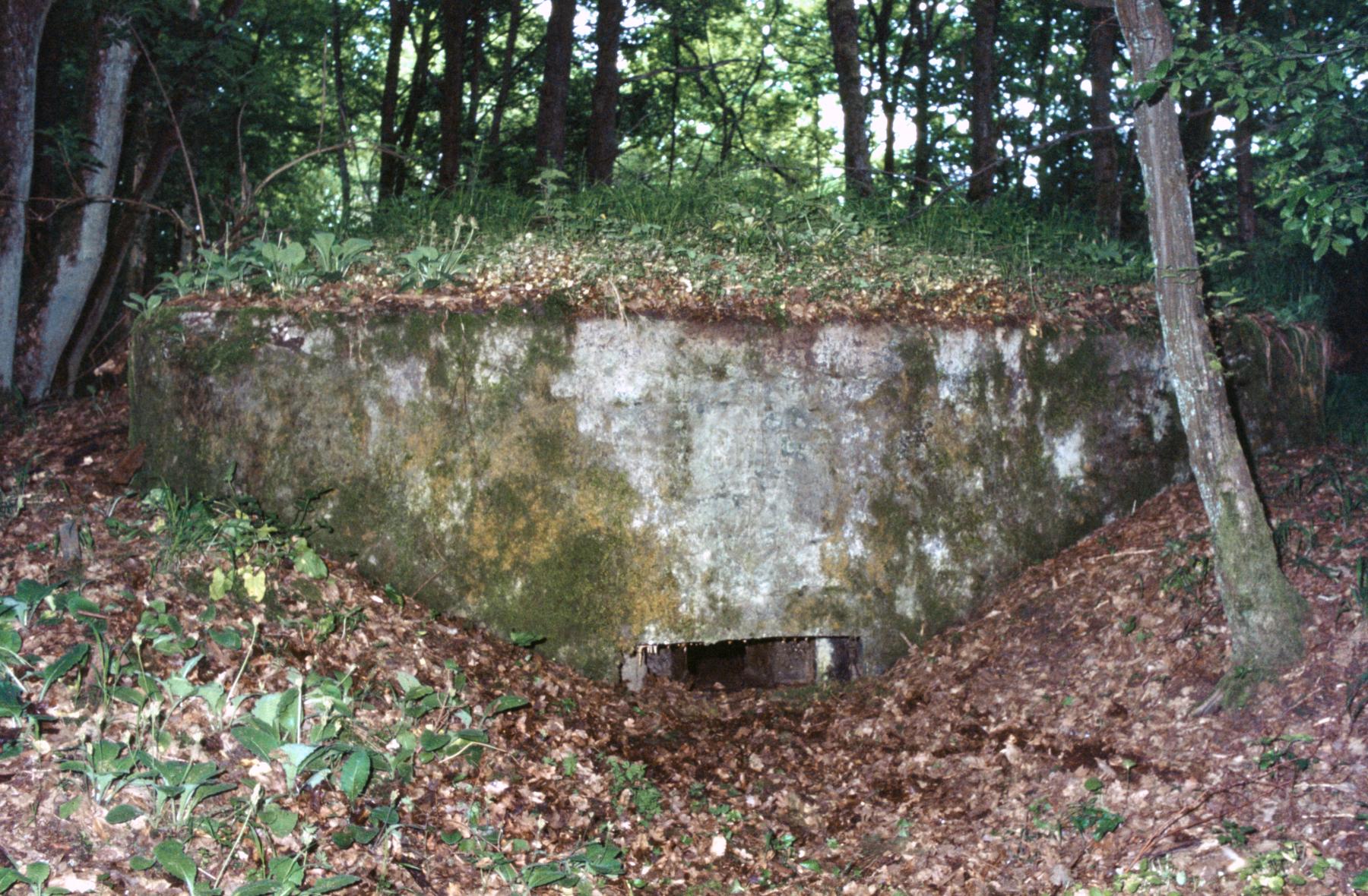 Ligne Maginot - LANGSTWALD 6 - (Blockhaus pour arme infanterie) - 