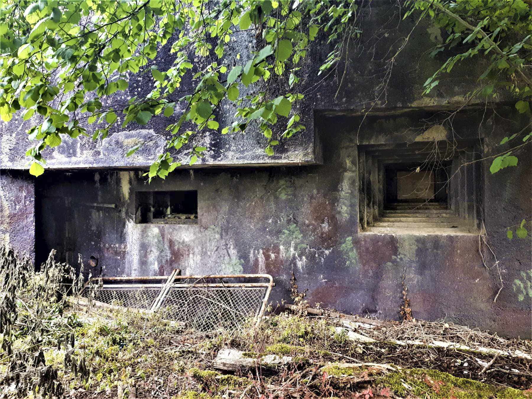 Ligne Maginot - 34/2 - CHALAMPE NORD OUEST - (Casemate d'infanterie - Double) - Chambre de tir nord.
La peinture de camouflage est encore en partie visible