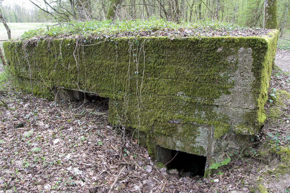 Ligne Maginot - CB89-B - BORNUNGSHOFF 3 - (Blockhaus pour arme infanterie) - 