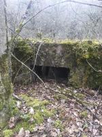 Ligne Maginot - METRICH - (Casernement) - Ruines du casernement
Les fondations d'une baraque et sa cave