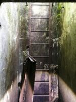 Ligne Maginot - 23L - (Chambre de coupure) - L'accès en puits doté de son échelle
