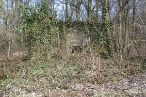 Ligne Maginot - DB317 - BOIS DE BEUVEILLE  OUEST 2 - (Blockhaus pour canon) - De nos jours ce blockhaus est perdu dans la forêt qui a repris ses droits. Situé le long d'un sentier agricole défoncé il est difficilement visible.