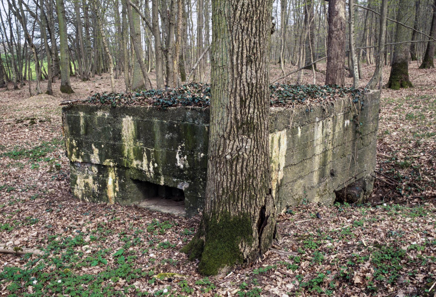 Ligne Maginot - CB89 - BORNUNGSHOFF 1 - (Blockhaus pour arme infanterie) - 