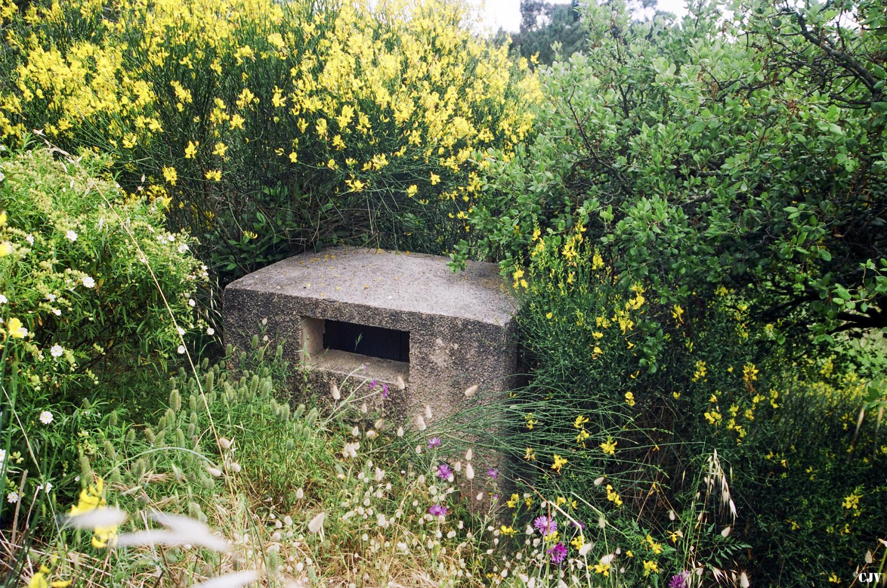 Ligne Maginot - ZIGLIONE (Casemate d'infanterie) - La cheminée