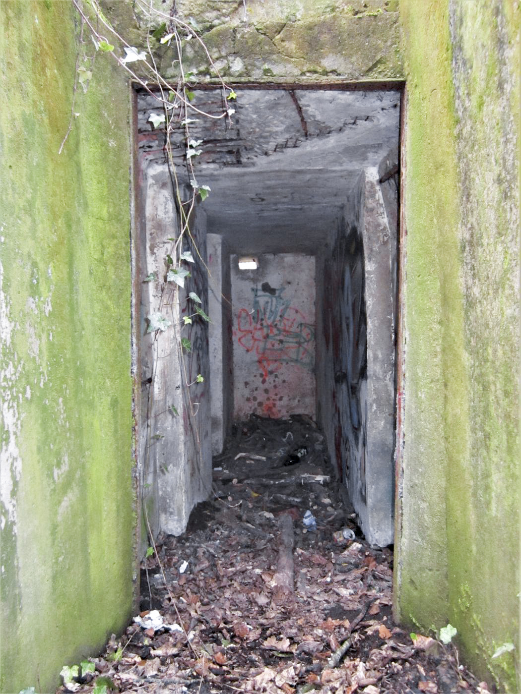 Ligne Maginot - NIEDERBETSCHDORF 3 - (Blockhaus pour arme infanterie) - 