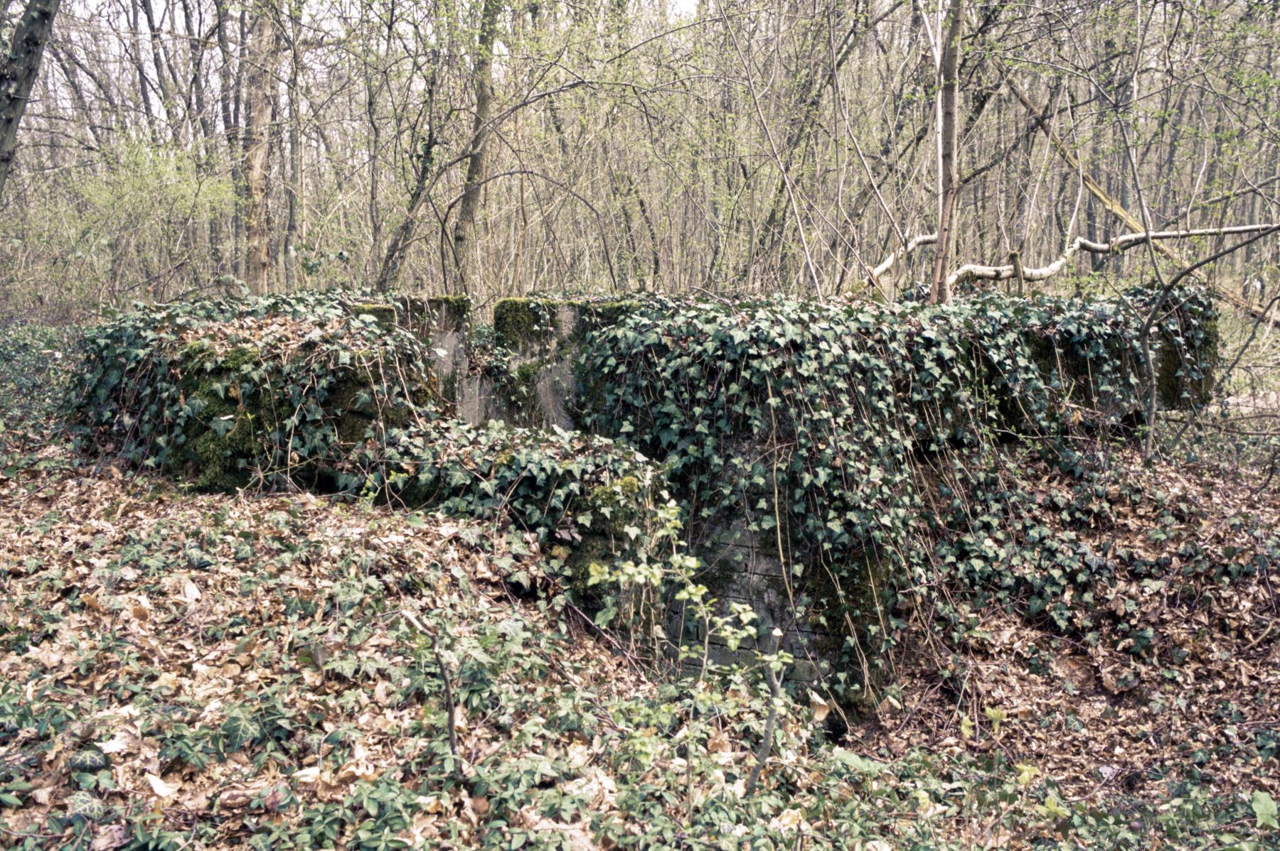 Ligne Maginot - KUHFEUSCH - (Cuve pour arme d'infanterie) - 