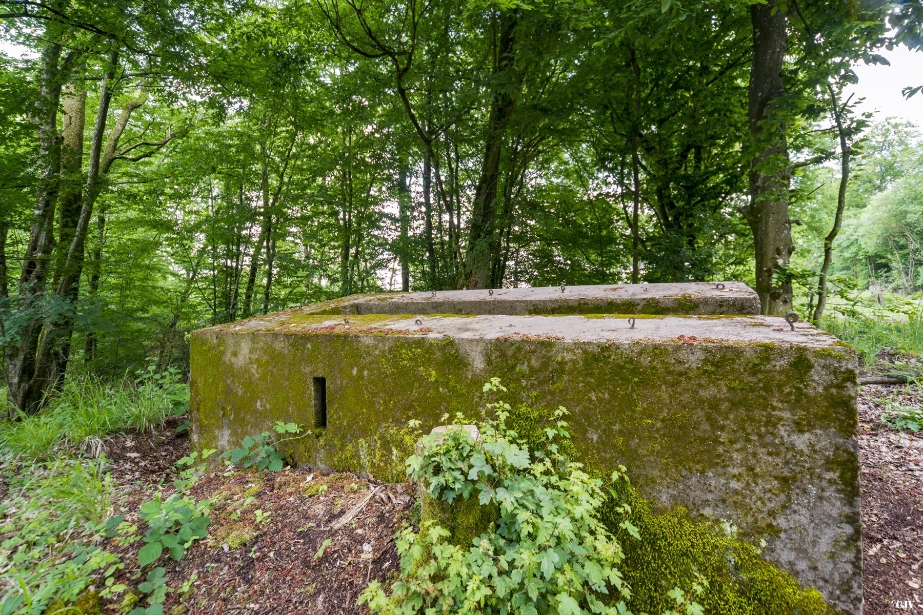 Ligne Maginot - MITTELSWALD 1 - (Blockhaus pour arme infanterie) -               