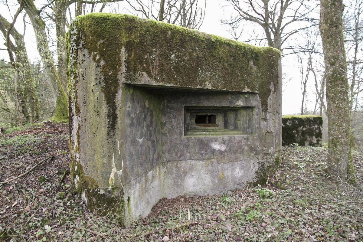 Ligne Maginot - MOLSCHPRICH NORD - (Blockhaus pour arme infanterie) - 