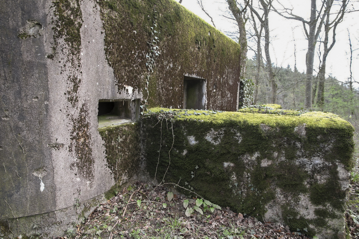 Ligne Maginot - MOLSCHPRICH NORD - (Blockhaus pour arme infanterie) - 