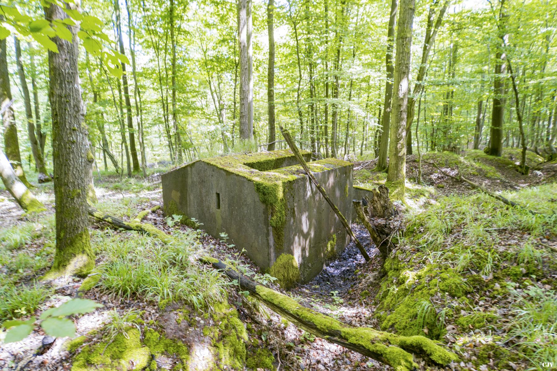 Ligne Maginot - TAUBRUNNENWALD 1 - (Blockhaus pour arme infanterie) - 