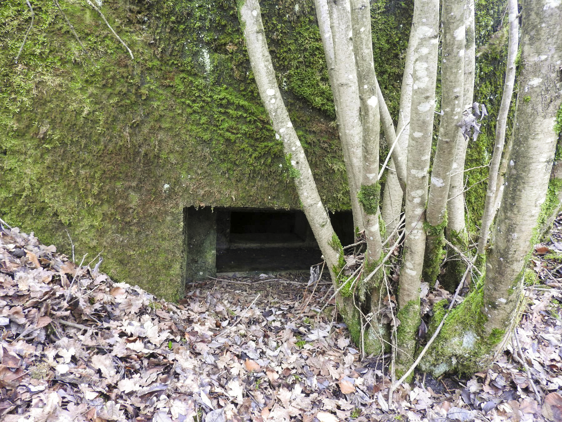 Ligne Maginot - VALETTE NORD OUEST - (Blockhaus pour arme infanterie) - La créneau est.