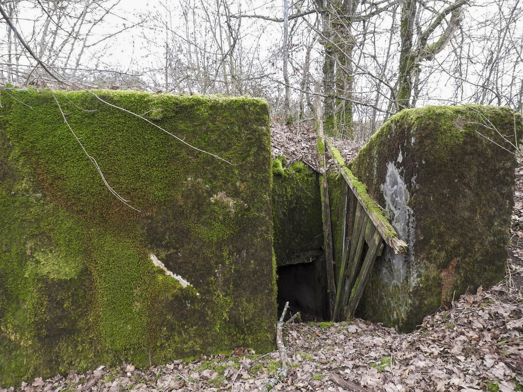 Ligne Maginot - VALETTE NORD OUEST - (Blockhaus pour arme infanterie) - L'entrée du blockhaus.