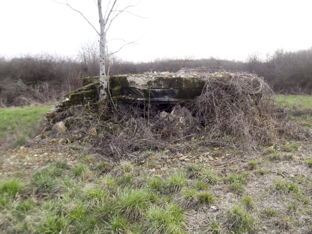 Ligne Maginot - MM272 - LE RATENTOUT OUEST - (Casemate d'artillerie) - vue sur le créneau de tir  