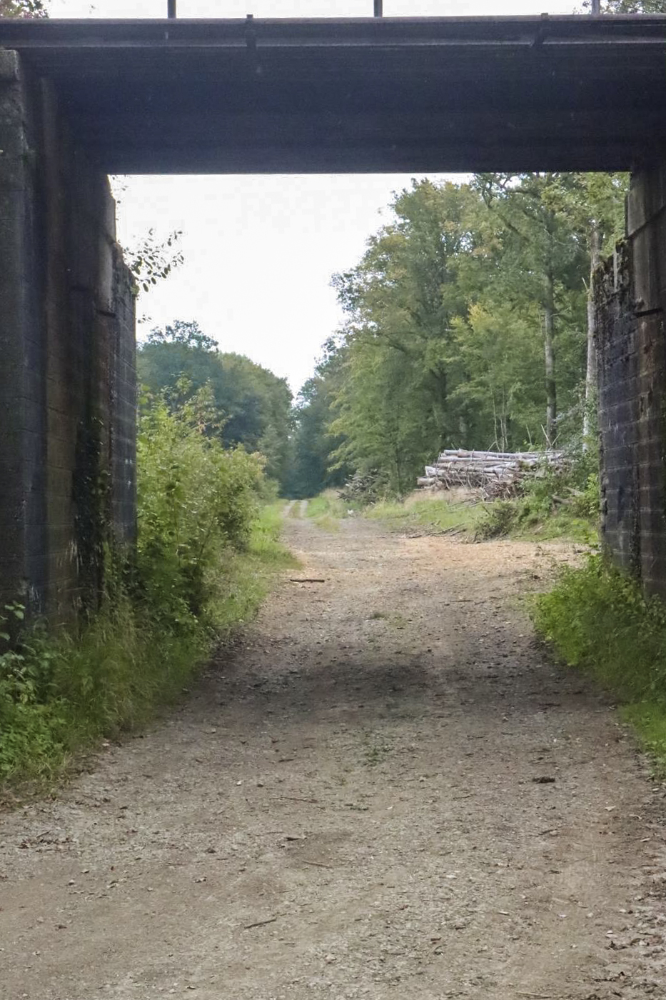 Ligne Maginot - VF60 - ROCADE SAINT-HUBERT / BOULANGE / MANCE - PARTIE SFCR - (RESEAU - Voie 60 - Antenne ou rocade ferroviaire) - Pont des Vaches
